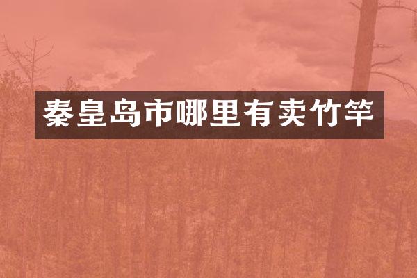 秦皇岛市哪里有卖竹竿