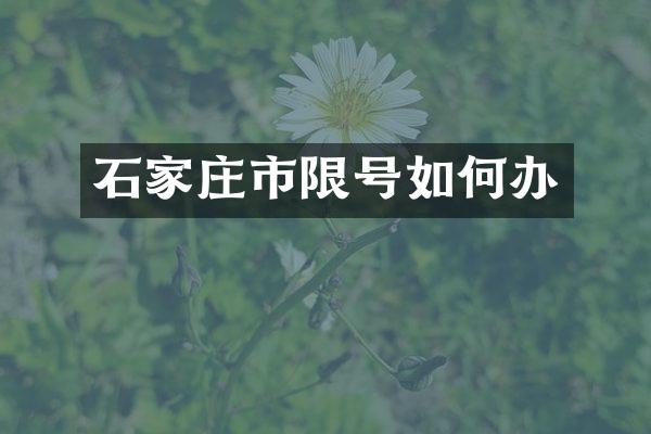 石家庄市限号如何办
