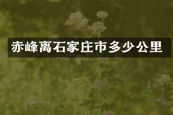 赤峰离石家庄市多少公里