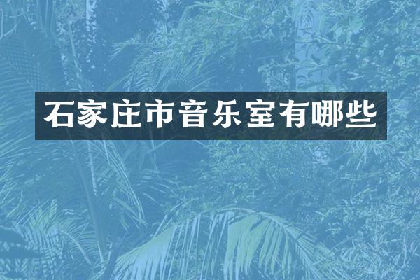 石家庄市音乐室有哪些