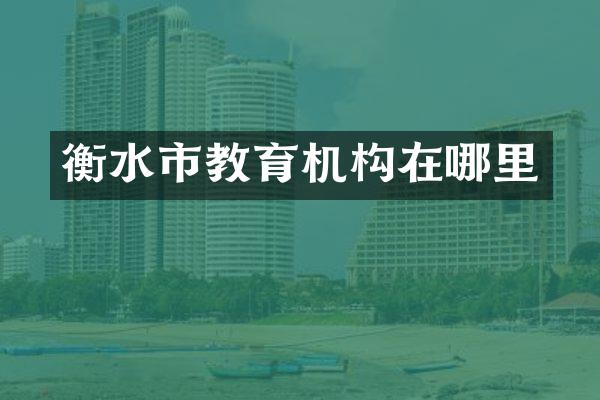 衡水市教育机构在哪里