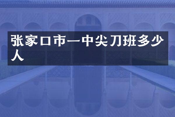 张家口市一中尖刀班多少人