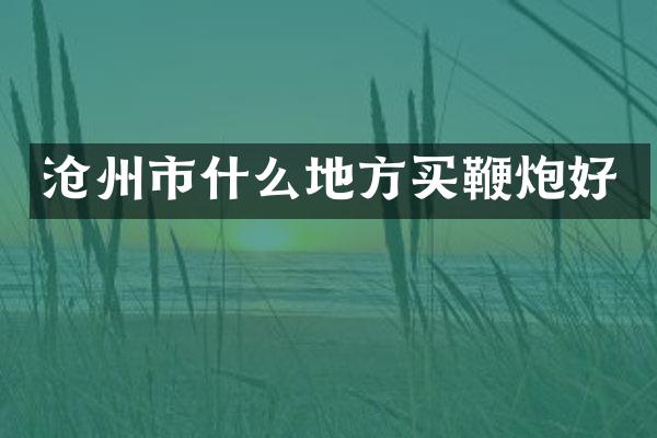 沧州市什么地方买鞭炮好