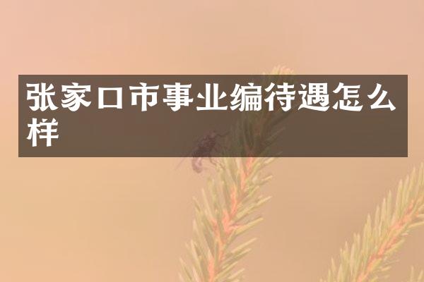 张家口市事业编待遇怎么样
