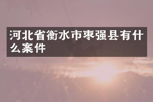 河北省衡水市枣强县有什么案件