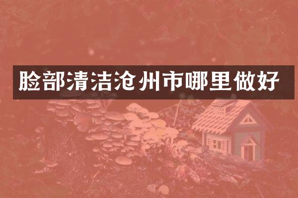 脸部清洁沧州市哪里做好