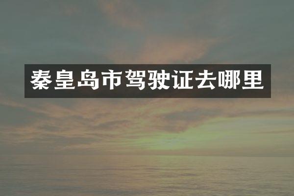 秦皇岛市驾驶证去哪里