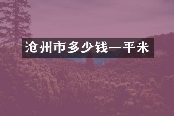 沧州市多少钱一平米