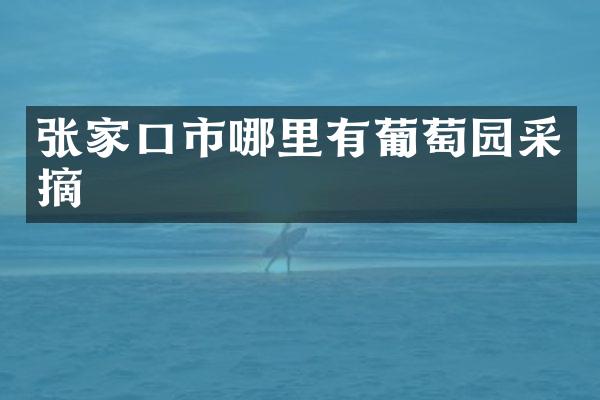 张家口市哪里有葡萄园采摘