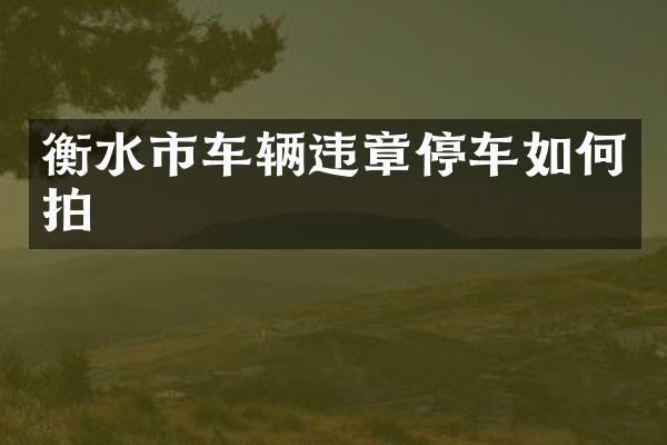 衡水市车辆违章停车如何拍