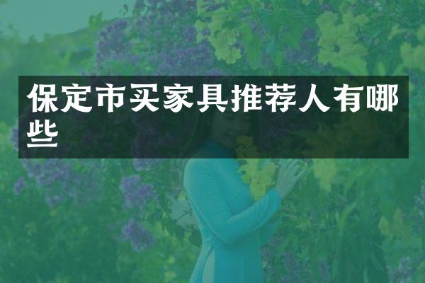 保定市买家具推荐人有哪些