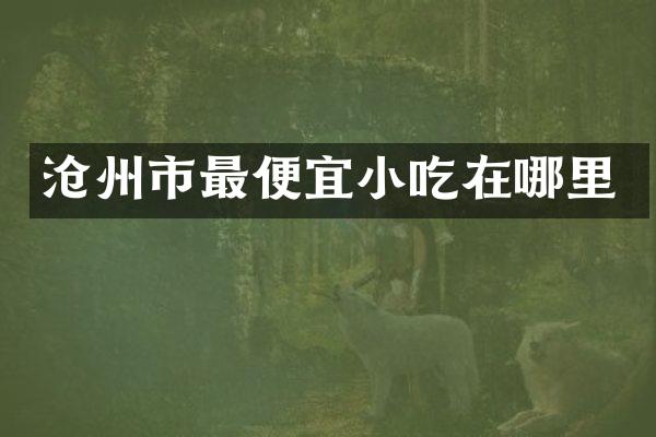 沧州市最便宜小吃在哪里