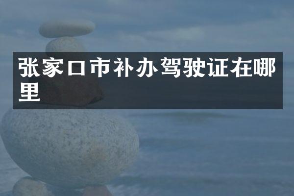 张家口市补办驾驶证在哪里