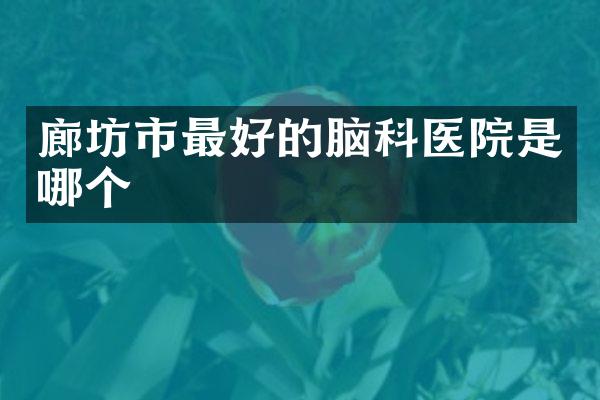 廊坊市最好的脑科医院是哪个