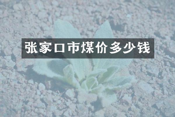 张家口市煤价多少钱