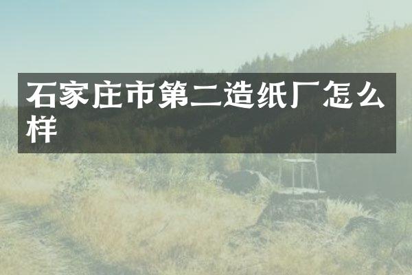 石家庄市第二造纸厂怎么样