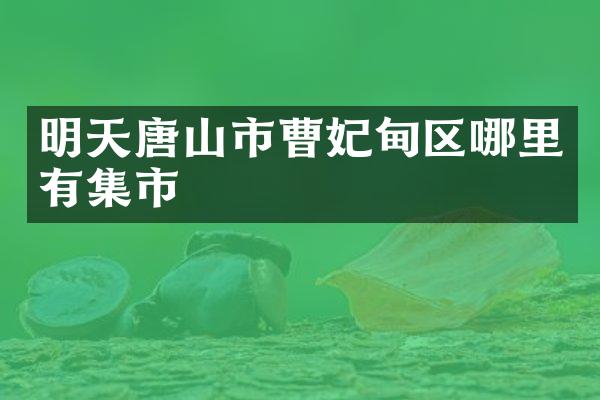 明天唐山市曹妃甸区哪里有集市