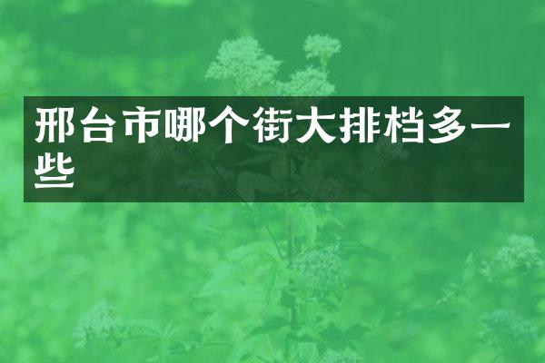 邢台市哪个街大排档多一些