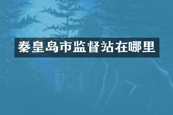 秦皇岛市监督站在哪里