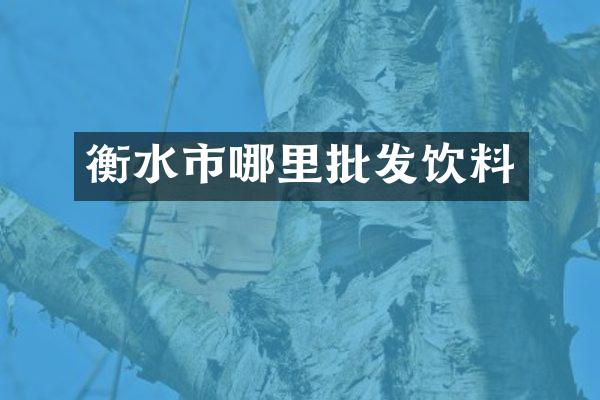 衡水市哪里批发饮料