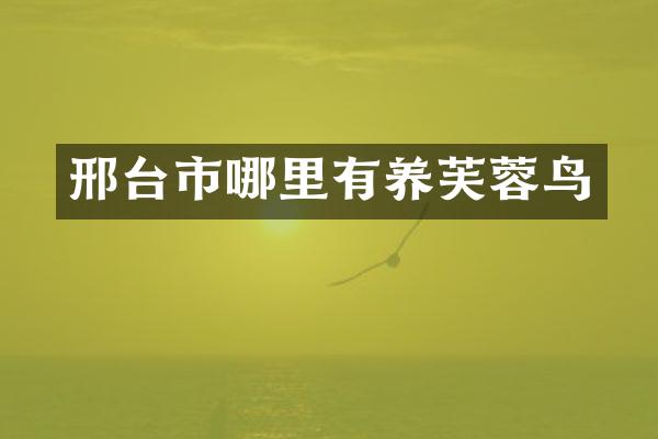 邢台市哪里有养芙蓉鸟