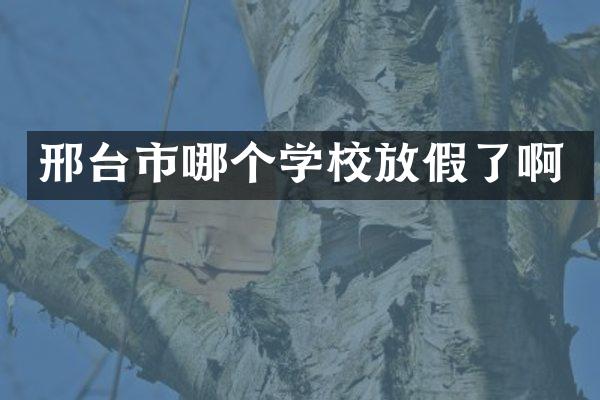 邢台市哪个学校放假了啊