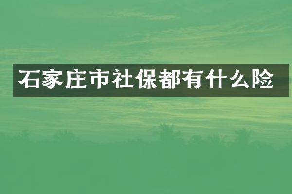 石家庄市社保都有什么险