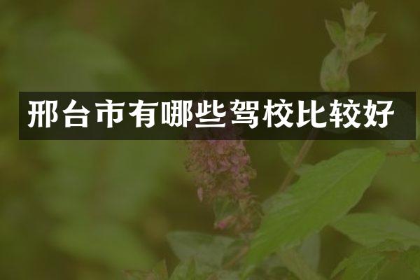 邢台市有哪些驾校比较好