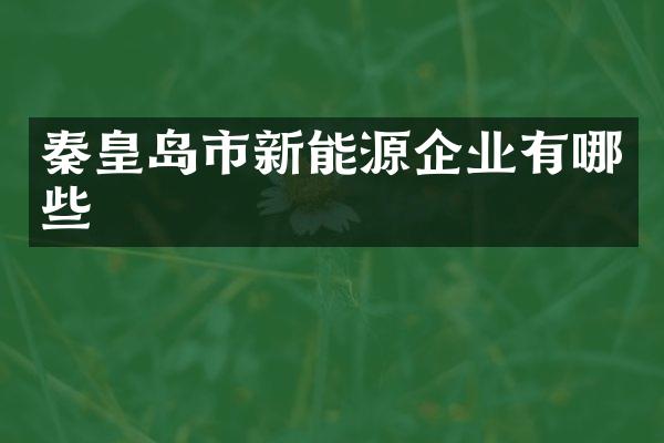 秦皇岛市新能源企业有哪些
