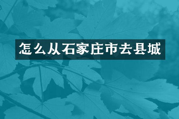 怎么从石家庄市去县城