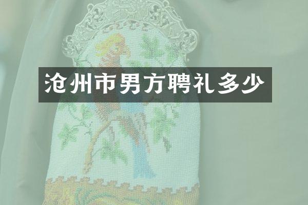 沧州市男方聘礼多少
