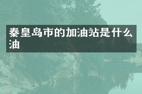 秦皇岛市的加油站是什么油