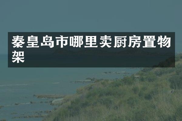 秦皇岛市哪里卖厨房置物架