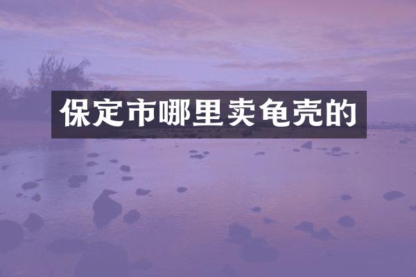 保定市哪里卖龟壳的
