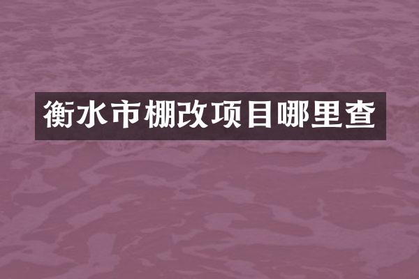 衡水市棚改项目哪里查