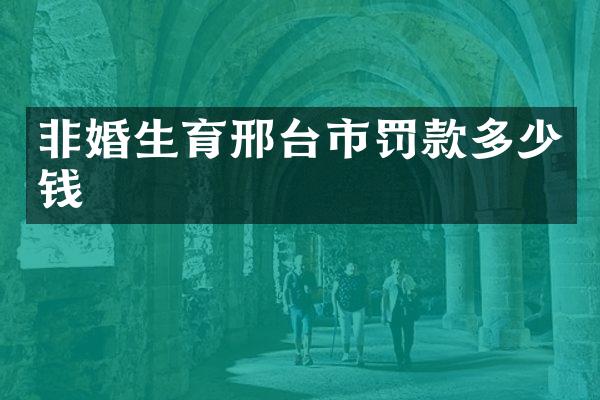 非婚生育邢台市罚款多少钱
