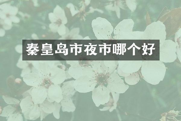 秦皇岛市夜市哪个好