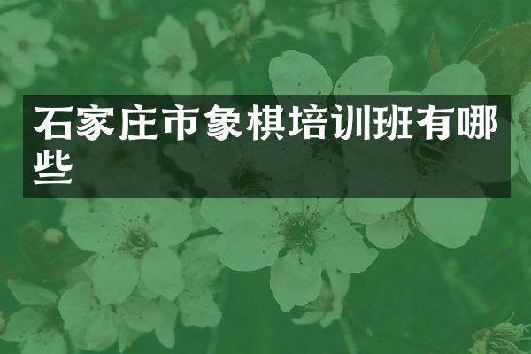 石家庄市象棋培训班有哪些