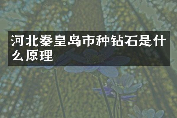 河北秦皇岛市种钻石是什么原理