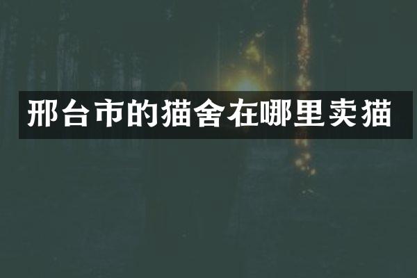 邢台市的猫舍在哪里卖猫
