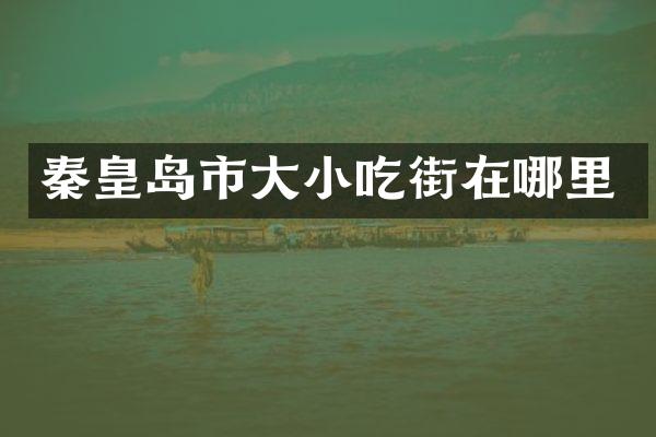 秦皇岛市大小吃街在哪里