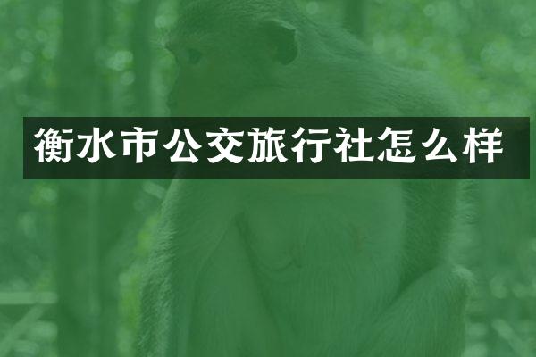 衡水市公交旅行社怎么样