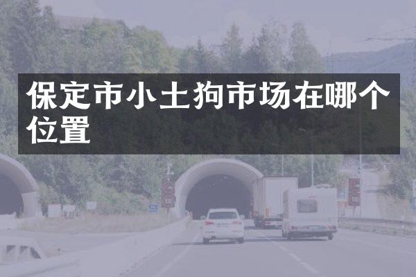 保定市小土狗市场在哪个位置