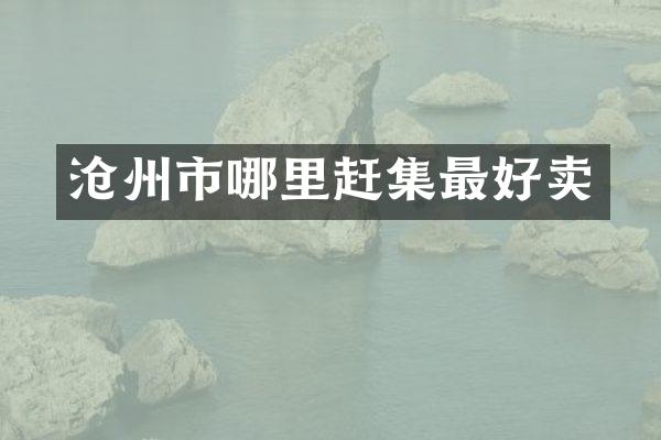 沧州市哪里赶集最好卖