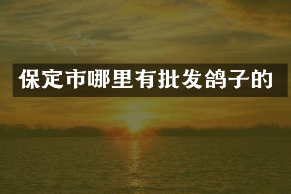 保定市哪里有批发鸽子的