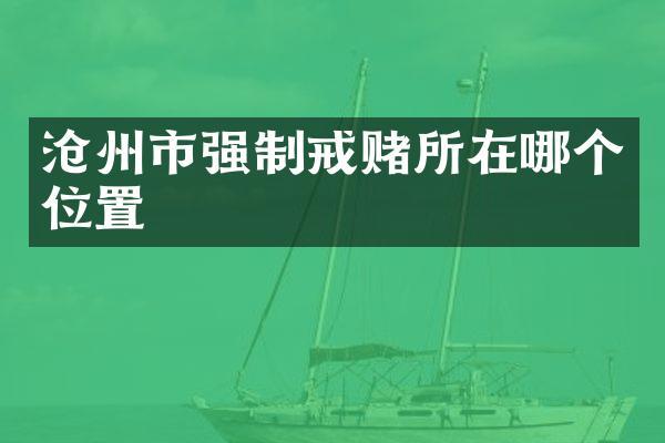沧州市强制戒赌所在哪个位置