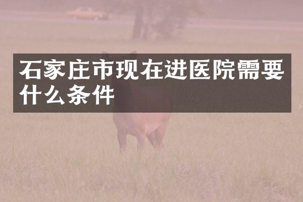石家庄市现在进医院需要什么条件