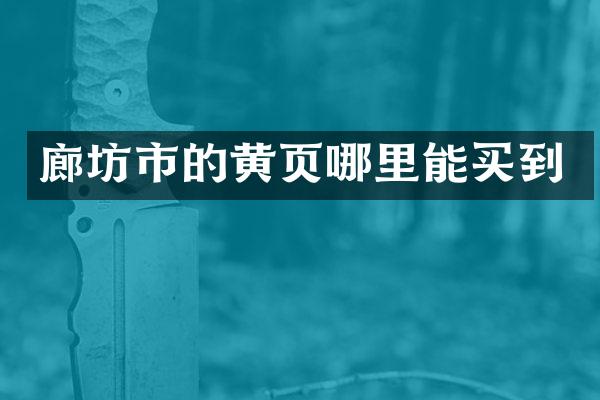 廊坊市的黄页哪里能买到