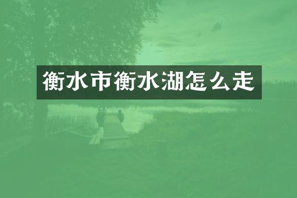 衡水市衡水湖怎么走