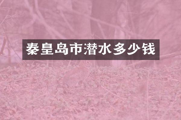秦皇岛市潜水多少钱